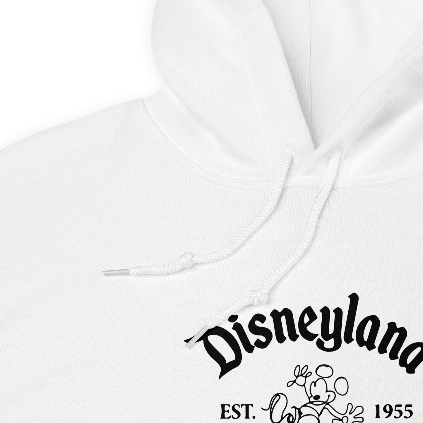 Disneyland hoodie